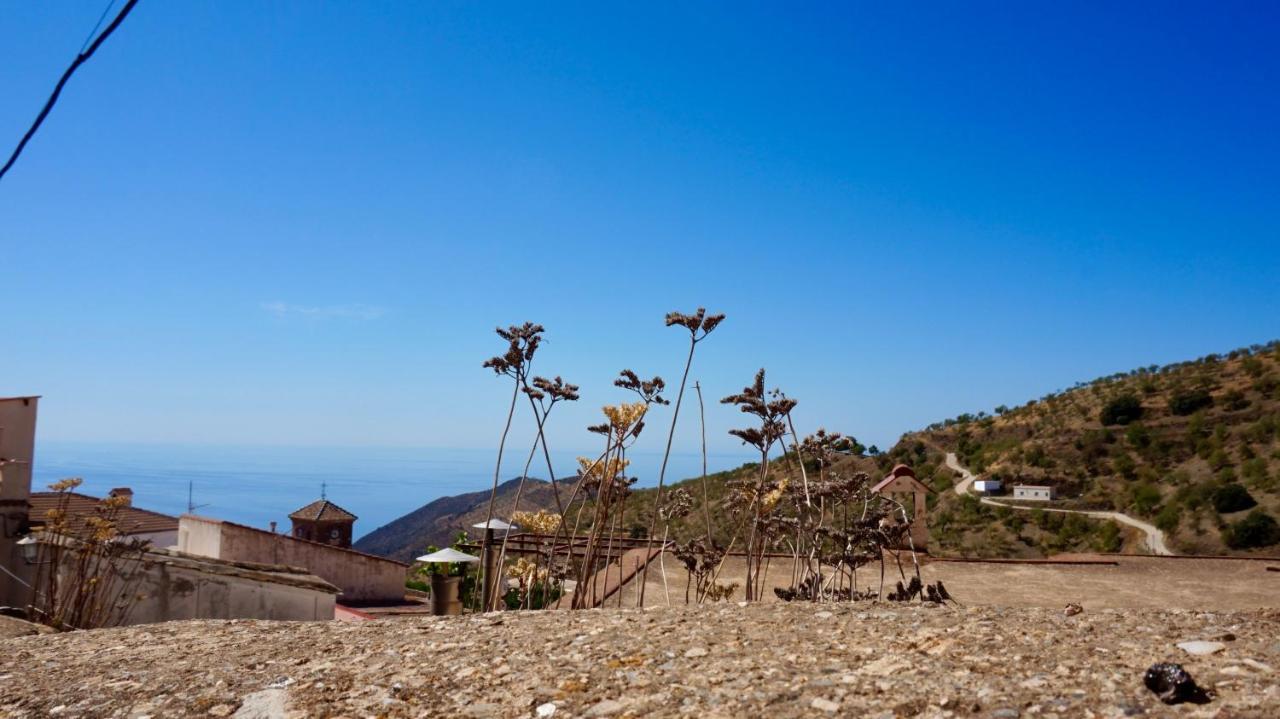 Casa Amigos Sorvilan - La Almendra エクステリア 写真