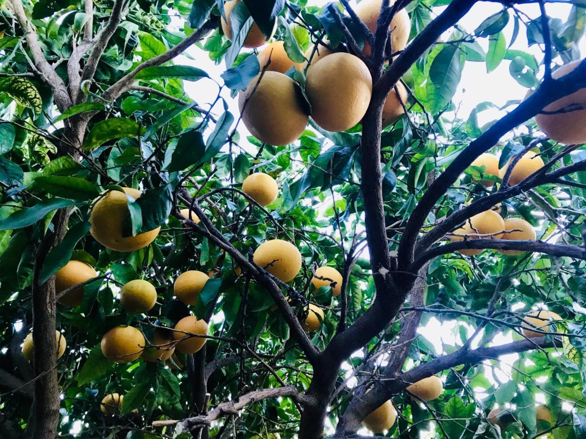Casa Amigos Sorvilan - La Almendra エクステリア 写真