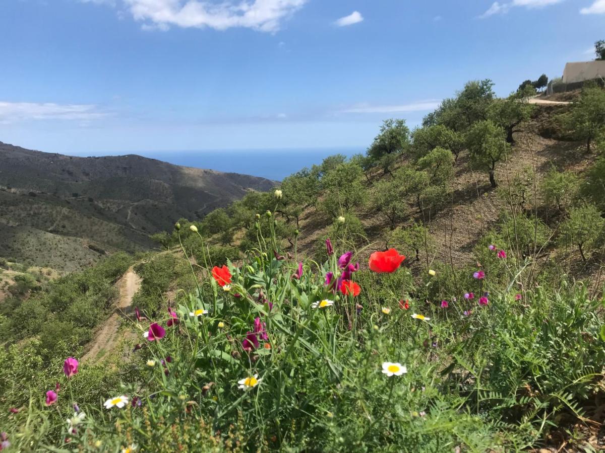 Casa Amigos Sorvilan - La Almendra エクステリア 写真