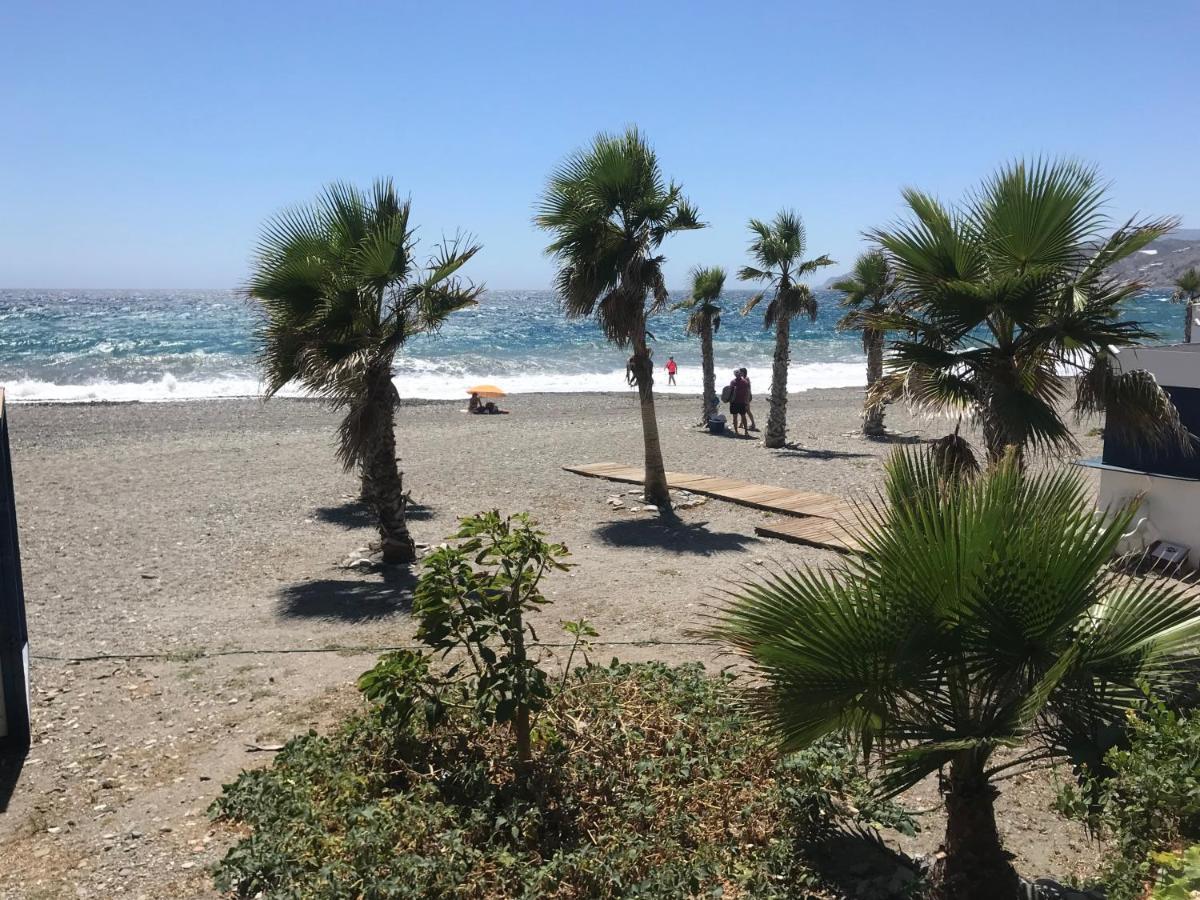Casa Amigos Sorvilan - La Almendra エクステリア 写真