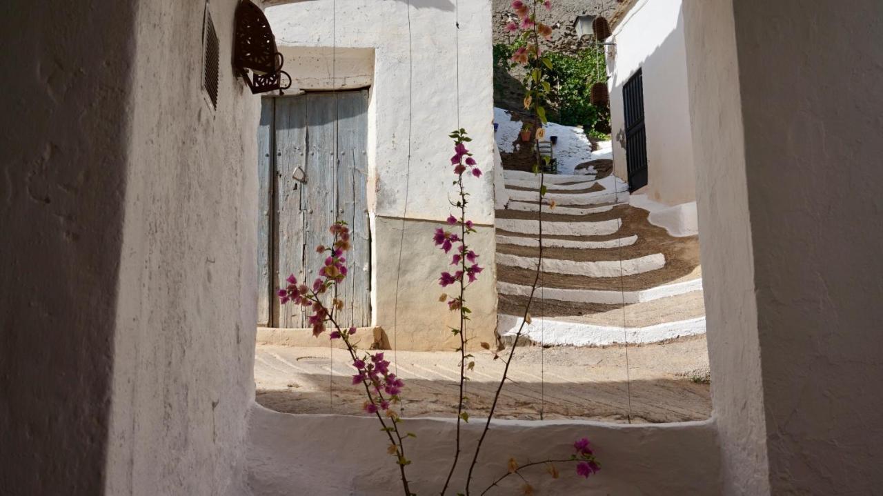 Casa Amigos Sorvilan - La Almendra エクステリア 写真
