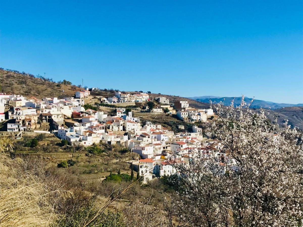 Casa Amigos Sorvilan - La Almendra エクステリア 写真