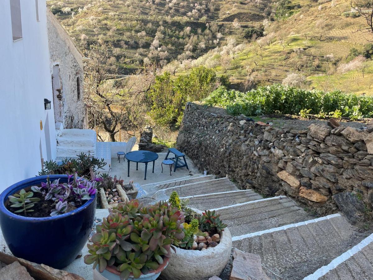 Casa Amigos Sorvilan - La Almendra エクステリア 写真