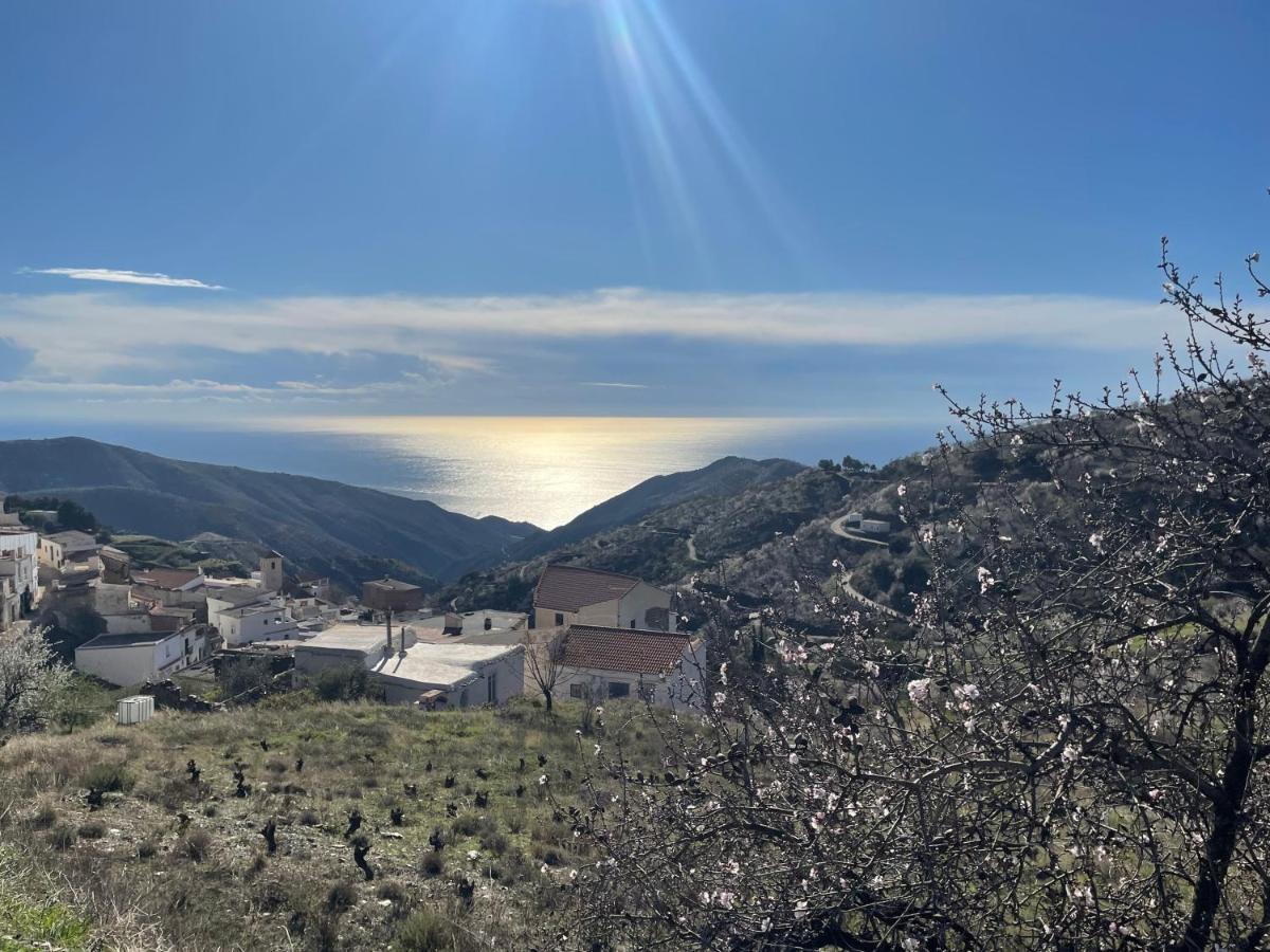 Casa Amigos Sorvilan - La Almendra エクステリア 写真
