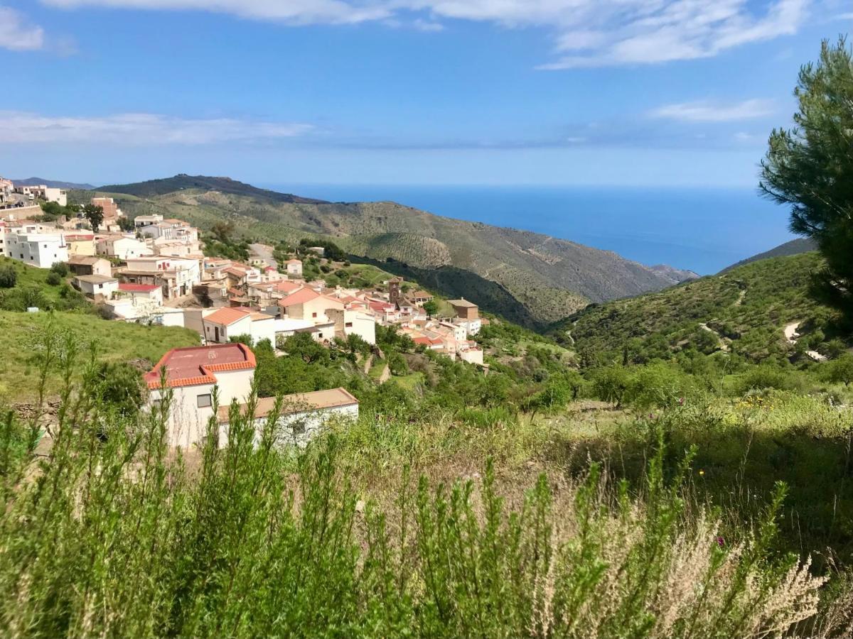 Casa Amigos Sorvilan - La Almendra エクステリア 写真